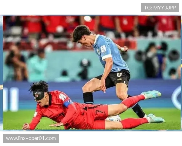 世界杯赛场上的激情与荣耀球迷、球员与历史的终极对决 - 副本 (2)